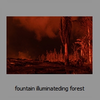 fountain illuminateding forest